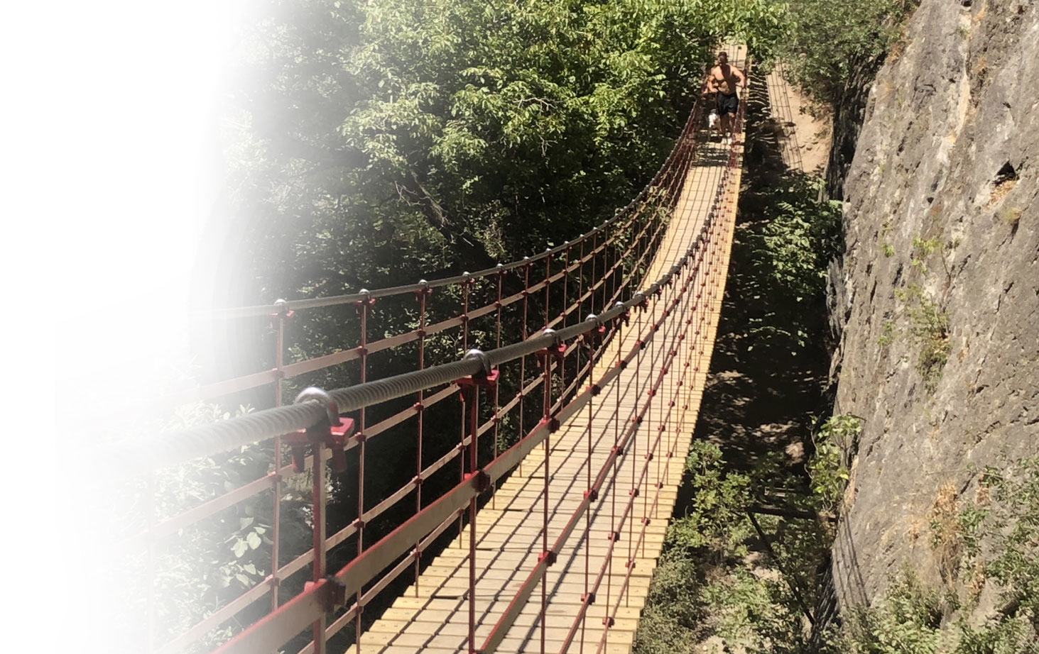 Le pont du changement Cap Transition